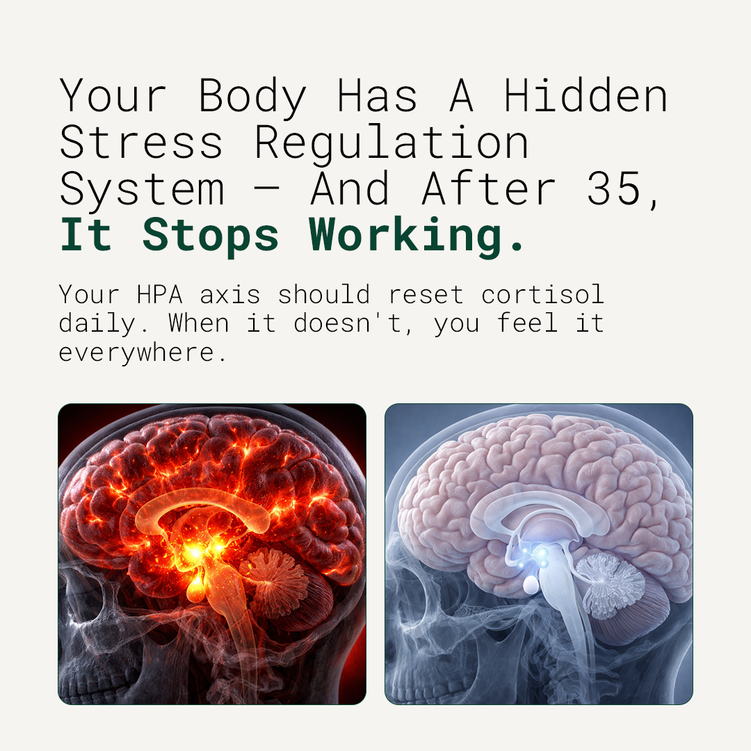 The hidden stress regulation system