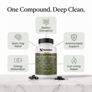 Black Seed Restore
