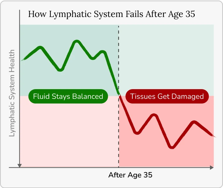 How the lymphatic system changes after age 35