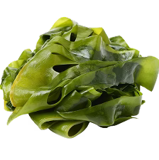 Kelp extract