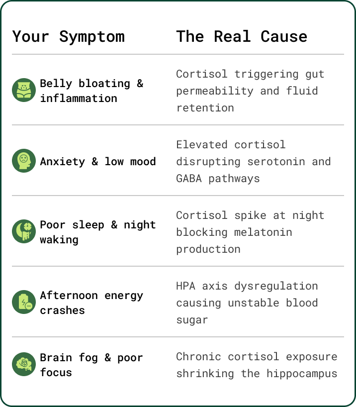 Rhodiola Restore information