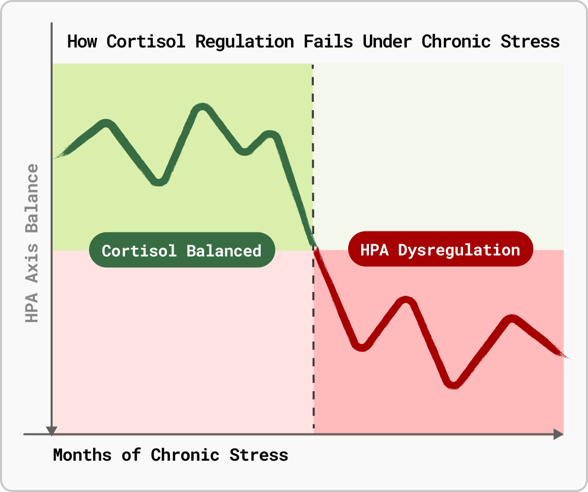 Rhodiola Restore information
