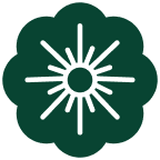 Rhodiola Restore information