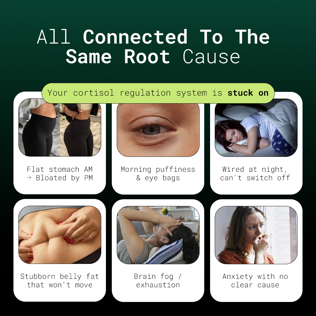 NUVORA Rhodiola Restore — product image 5